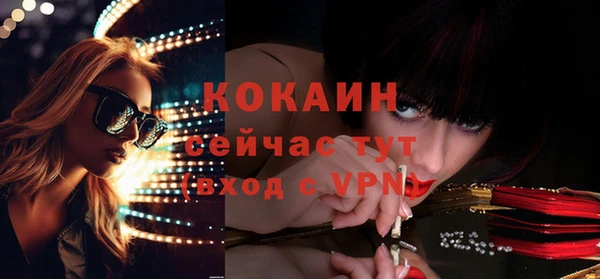 винт Абаза