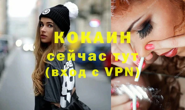 винт Абаза