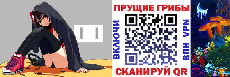 где купить наркоту  кракен зеркало  Галлюциногенные грибы Magic Shrooms  Эртиль 